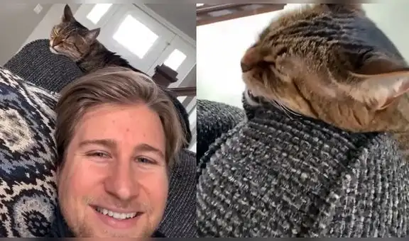 Astuto gatito sorprende al ‘imitar’ la risa del prometido de una internauta