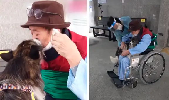 Perrito ‘seca’ las lágrimas de su dueño tras volver a verlo después de un año