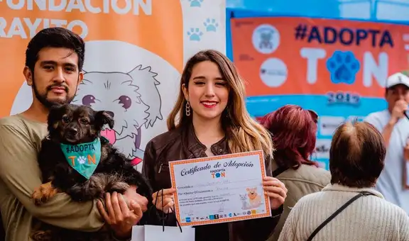 Adoptatón 2021: ¡un evento donde podrás encontrar a tu mejor amigo!