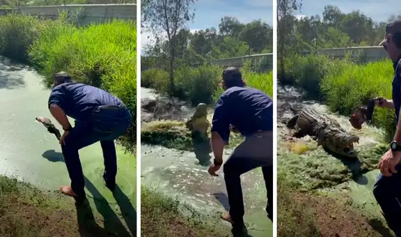 Hombre mete al agua un pedazo de carne y gigantesco cocodrilo emerge para atrapar su presa