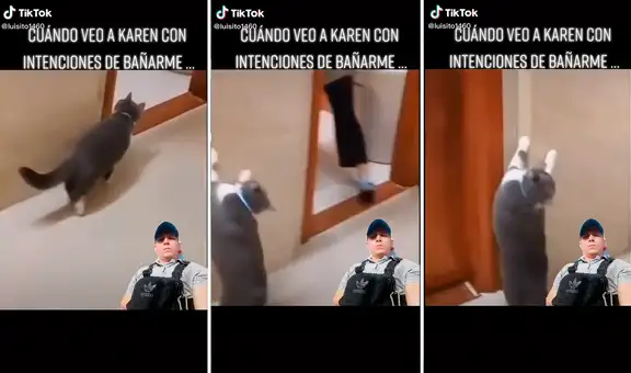 Gato no quiere que su cuidadora lo bañe y escapa del lugar con divertido ‘paso de baile’ 