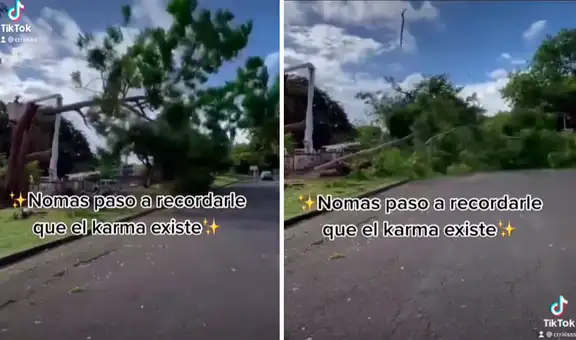 Hombre corta un árbol, pero una rama sale volando y le golpea la cabeza