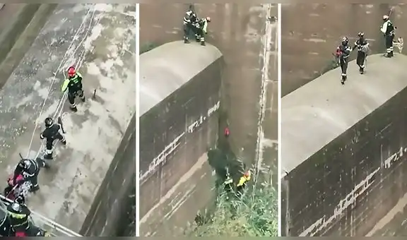 Bomberos arriesgan su vida en muro de 20 metros para salvar a perro que estaba por ahogarse
