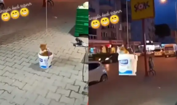 Dueño de gatito construye un ‘ascensor privado’ para que su mascota retorne a su casa