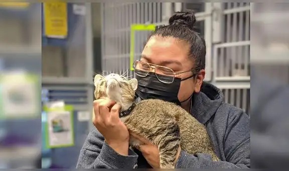 Gatita perdida se reúne con sus cuidadores luego de 6 años gracias a su microchip 