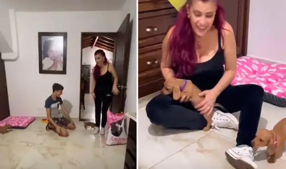 Pensó que su hijo iba a llevar un perro a la casa y se sorprende al descubrir que eran dos
