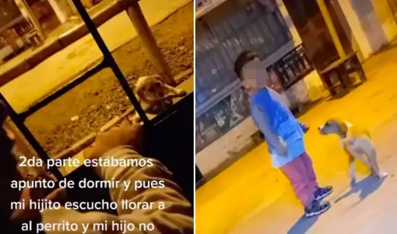 Niño llora hasta convencer a sus padres de adoptar al cachorro que lo persiguió en la calle