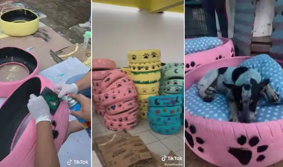 Joven utiliza viejos neumáticos y los convierte en camas para perritos sin hogar