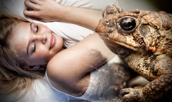 ¿Qué significa soñar con sapos y ranas? ¿Es un bueno o malo?
