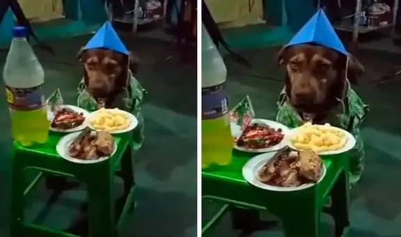 Familia celebra fiesta de cumpleaños de su perrito con pollo a la brasa y chizito