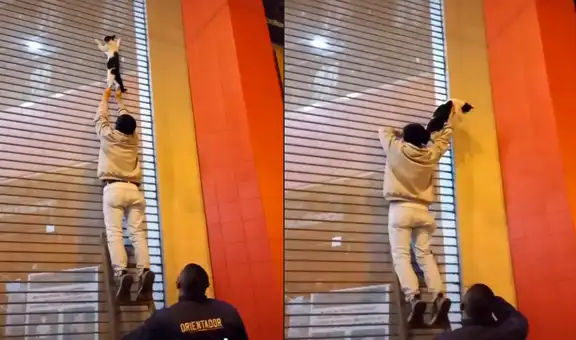Gatito queda atorado en la puerta de un establecimiento, pero es salvado por un transeúnte