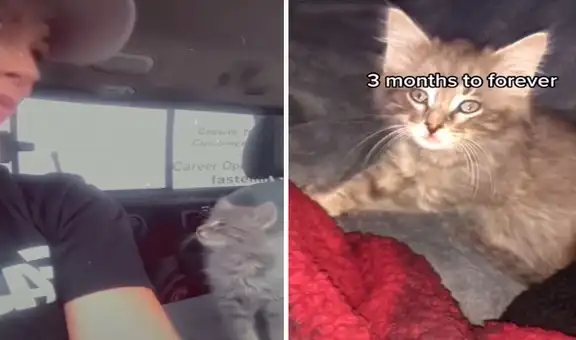 Recoge a un gato abandonado en la calle, lo adopta y se convierten en los ‘mejores amigos’