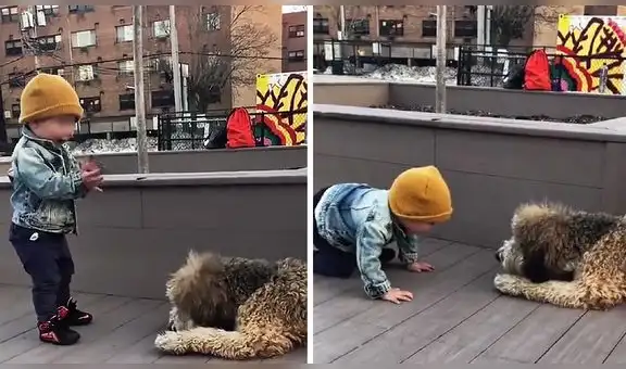 Impresionante reacción de niño al ver por primera vez a un perro se vuelve viral en redes