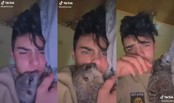 Joven descansa con su suricata entre los brazos sin imaginar que tocaría su nariz