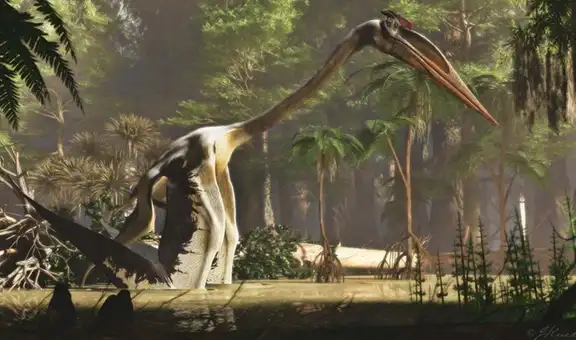 Revelan cómo era el Quetzalcoatlus, el animal volador más grande que ha existido