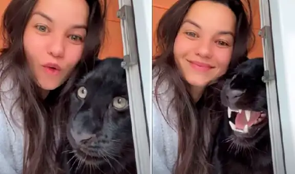 Mujer se acerca a pantera para tomarse un selfie y felino tiene inesperada reacción