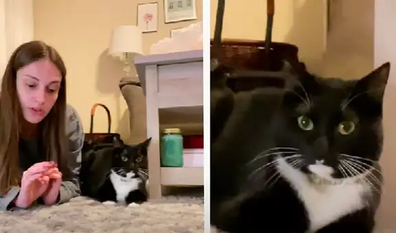 Mujer intenta conversar con su gato para que este no la despierte de madrugada