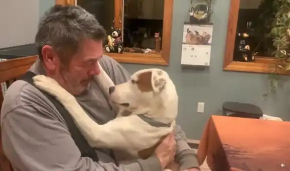 La enternecedora reacción de un perrito al ser adoptado por un hombre 