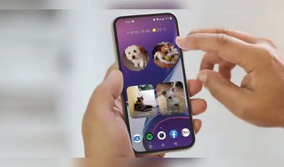 Google Fotos: lleva la foto de tus mascotas a la pantalla de inicio de celular con el nuevo Widget