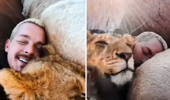 Hombre se recuesta junto a unos leones para tomar una siesta y video sorprende a todos