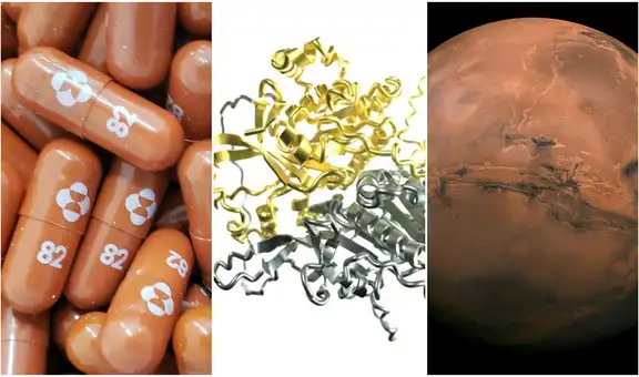 Estos son los grandes descubrimientos de la ciencia en 2021, según Science