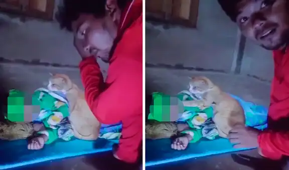 Gato se preocupa por la salud de su pequeño dueño y se echa a su lado para hacerle compañía