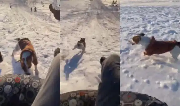 Joven se desliza en la nieve y su perrito le hace la competencia en velocidad