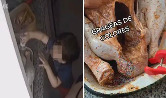 Mujer se descuida un momento y su hijo llena el pavo de Navidad con grageas de colores