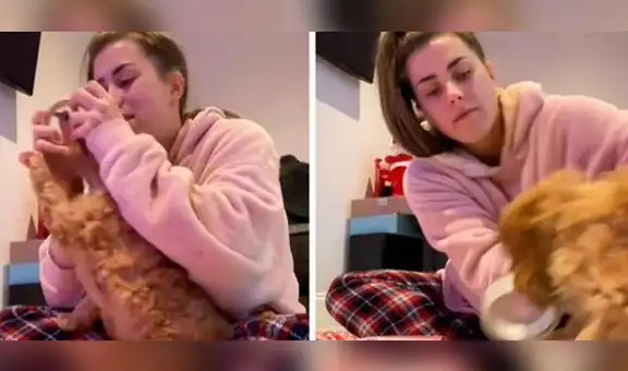 Perrito impide que su dueña envuelva los regalos para Navidad