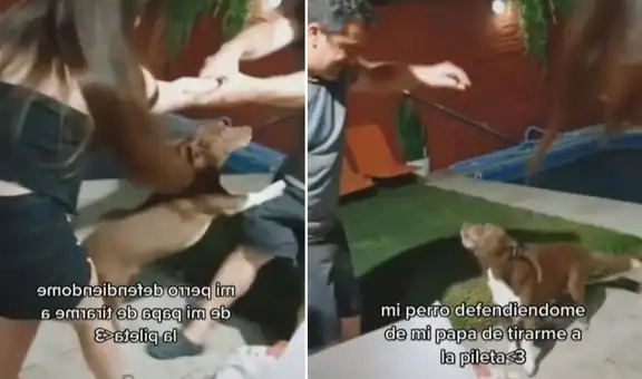 Perro se ‘enfrenta’ al papá de su dueña al ver que quería empujarla a la piscina