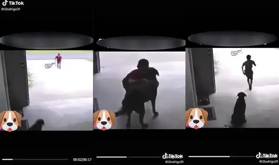 Niño visita a escondidas a su ‘mejor amigo perruno’ porque sus padres le prohibieron tener mascotas