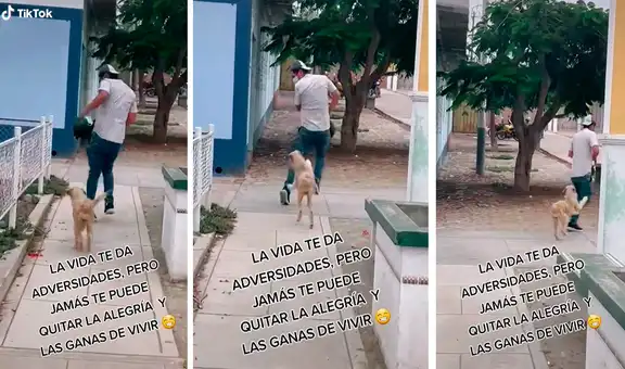 Perrito de la calle encuentra a un chico y comienza a copiar sus movimientos saltando sin parar