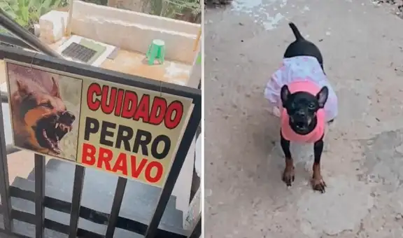 Visita casa con cartel de advertencia por un ‘perro bravo’ y resulta ser un chihuahua
