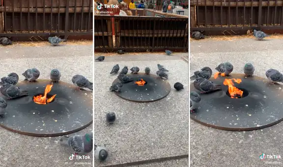Palomas se reúnen alrededor de una fogata para calentarse ante el intenso frío