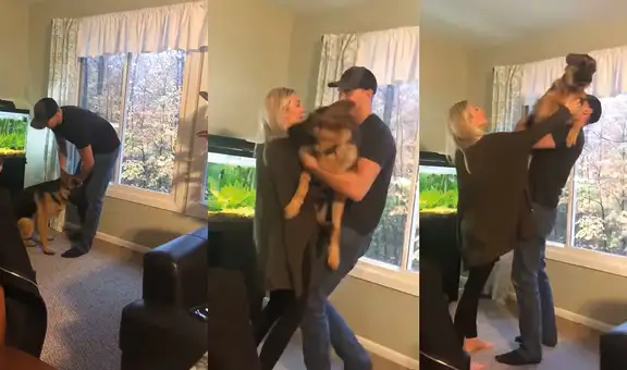 Perrito engreído no deja que su dueña lo cargue en sus brazos, pero sí acepta a su pareja