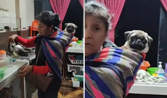 Mujer carga a su perrito en una lliklla para cuidarlo mientras cocina