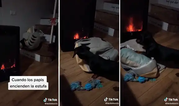 Perrito traslada su cómoda cama cerca de la chimenea para no sentir frío