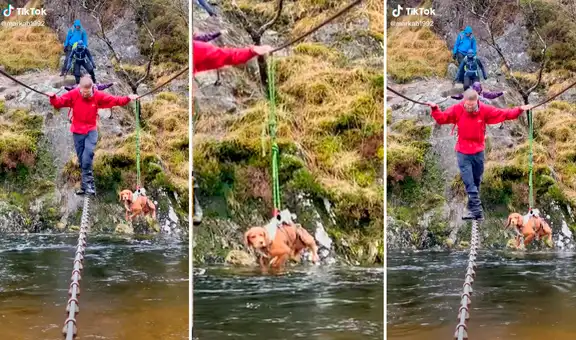 Perrito excursionista atraviesa un caudaloso río junto con su dueño