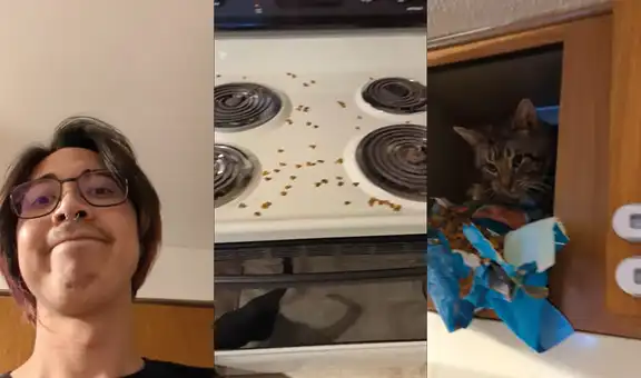 Joven abre su repisa y descubre que su gato estaba comiendo sus croquetas a escondidas