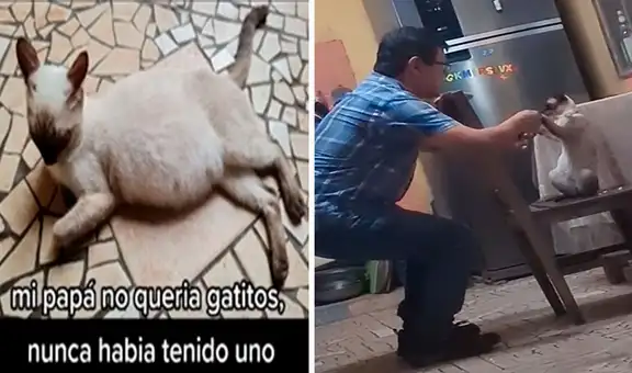 Padre acepta que su hija adopte una gatita, sin saber que la felina estaba preñada 
