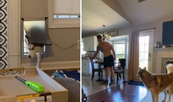 Perro intenta huir de casa para evitar ser regañado por su dueño tras realizar una travesura