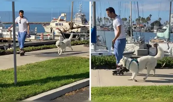 Sale a patinar junto con su perro y este ‘baila’ con singulares movimientos en la calle