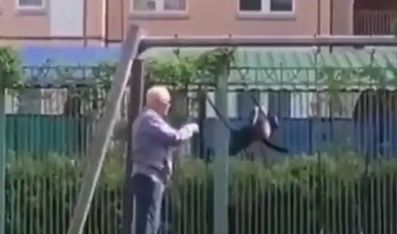 Hombre lleva a su gato al parque para que pasee y se divierta en el columpio