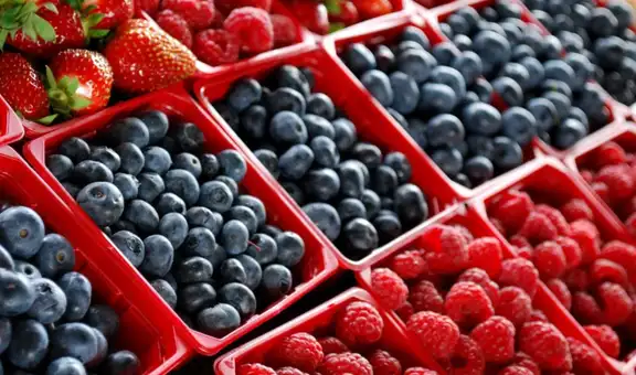 BCRP: Exportaciones no tradicionales peruanas tuvieron el mayor crecimiento en la región en 2021