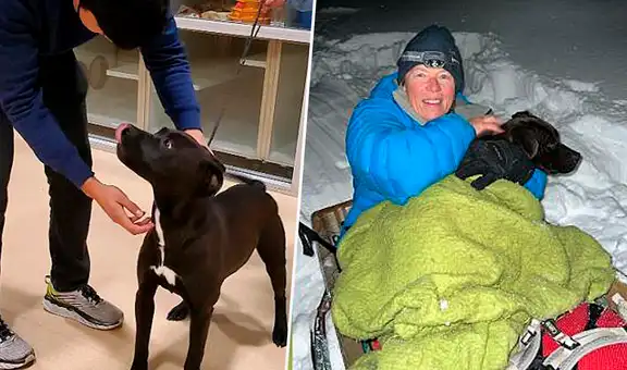 Perrito regresa a casa después de estar cuatro meses extraviado en la nieve
