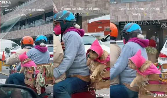 Pareja acondiciona su moto e instala una caja de madera para ir de paseo con su perrita