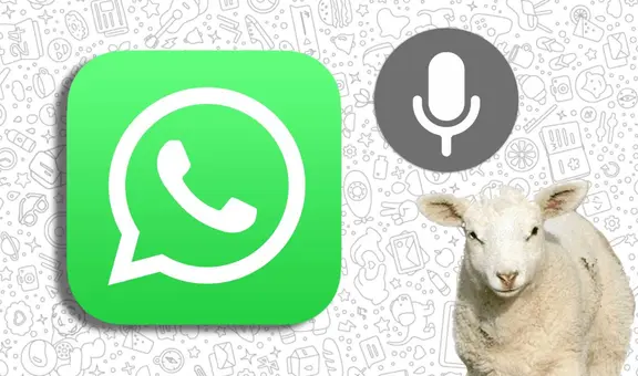 WhatsApp: ¿cómo enviar audios con voz de oveja a tus amigos?