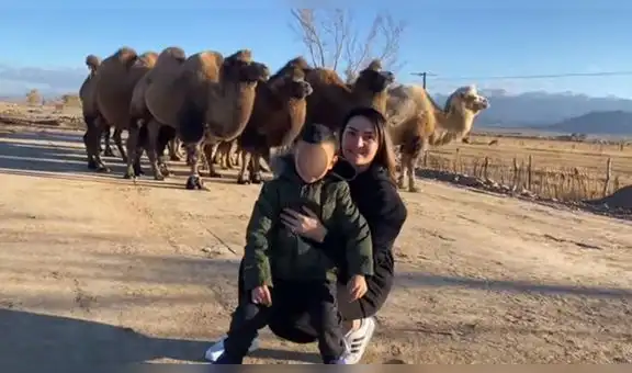 Familia se encuentra con camellos en la carretera y aprovechan en tomarse una foto
