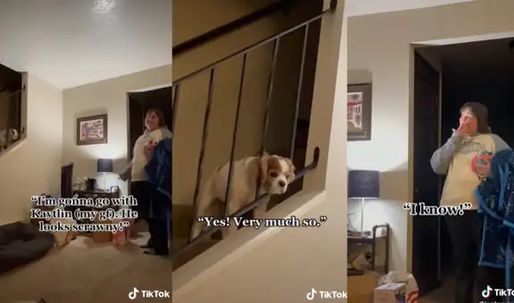 Perrito espera en las escaleras a su dueña para que se apresure y vaya a dormir junto a él