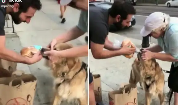 Perro roba la bolsa de pan de un hombre en la calle y se niega a devolverla